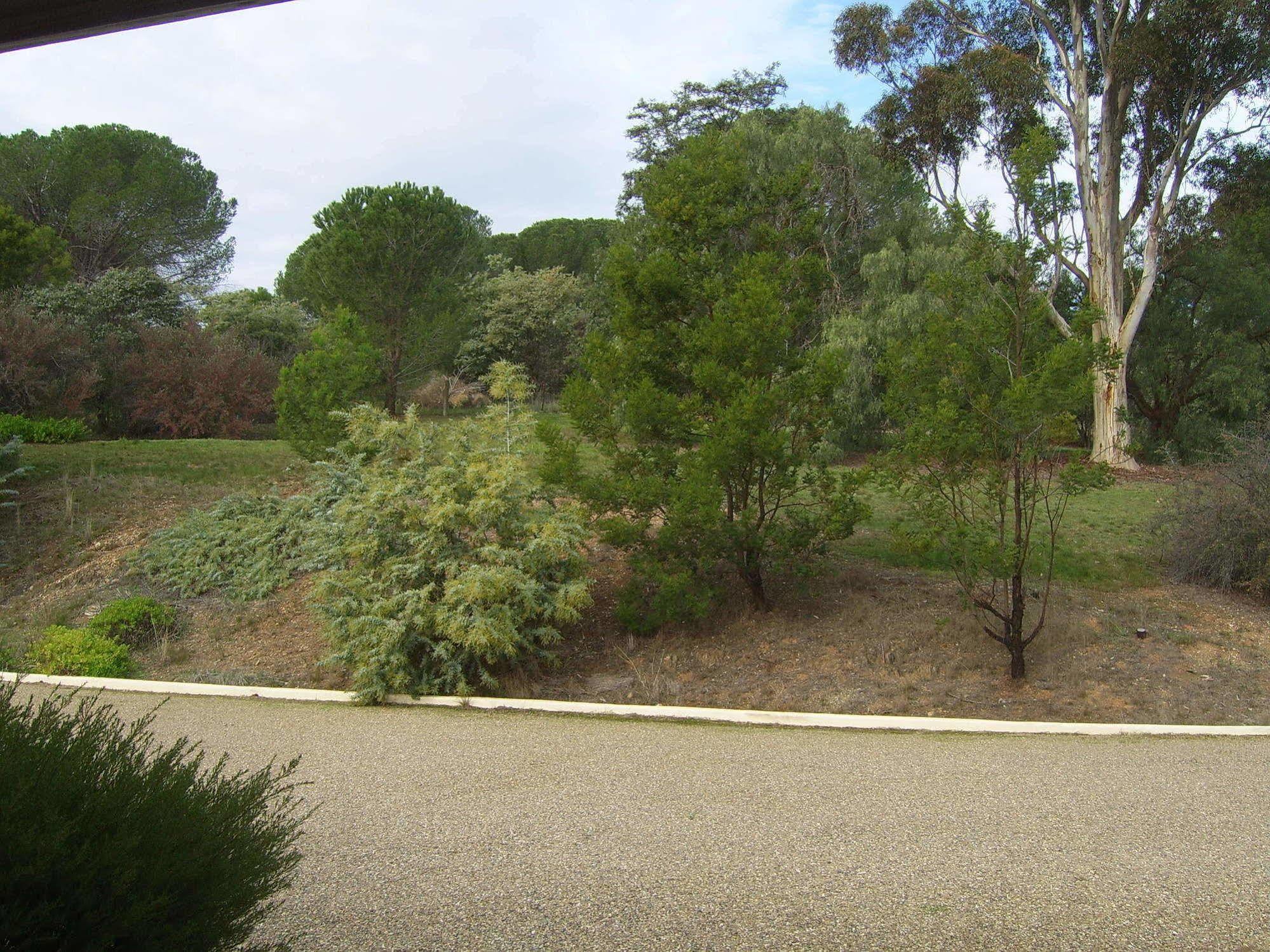 Garden Motor Inn Gundagai Zewnętrze zdjęcie