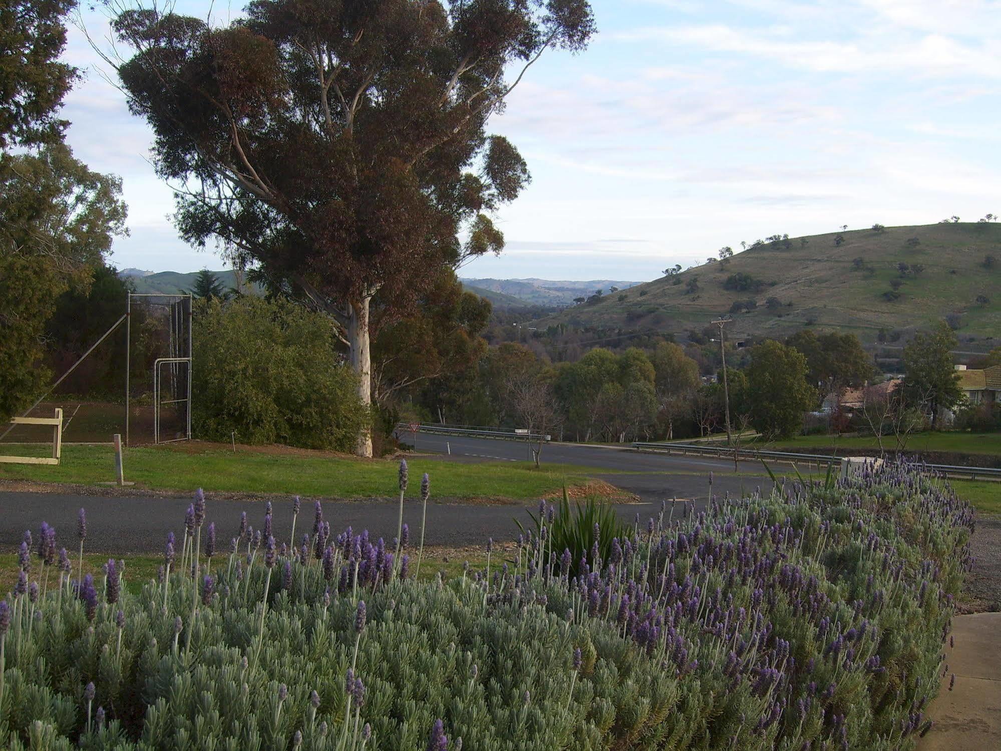 Garden Motor Inn Gundagai Zewnętrze zdjęcie