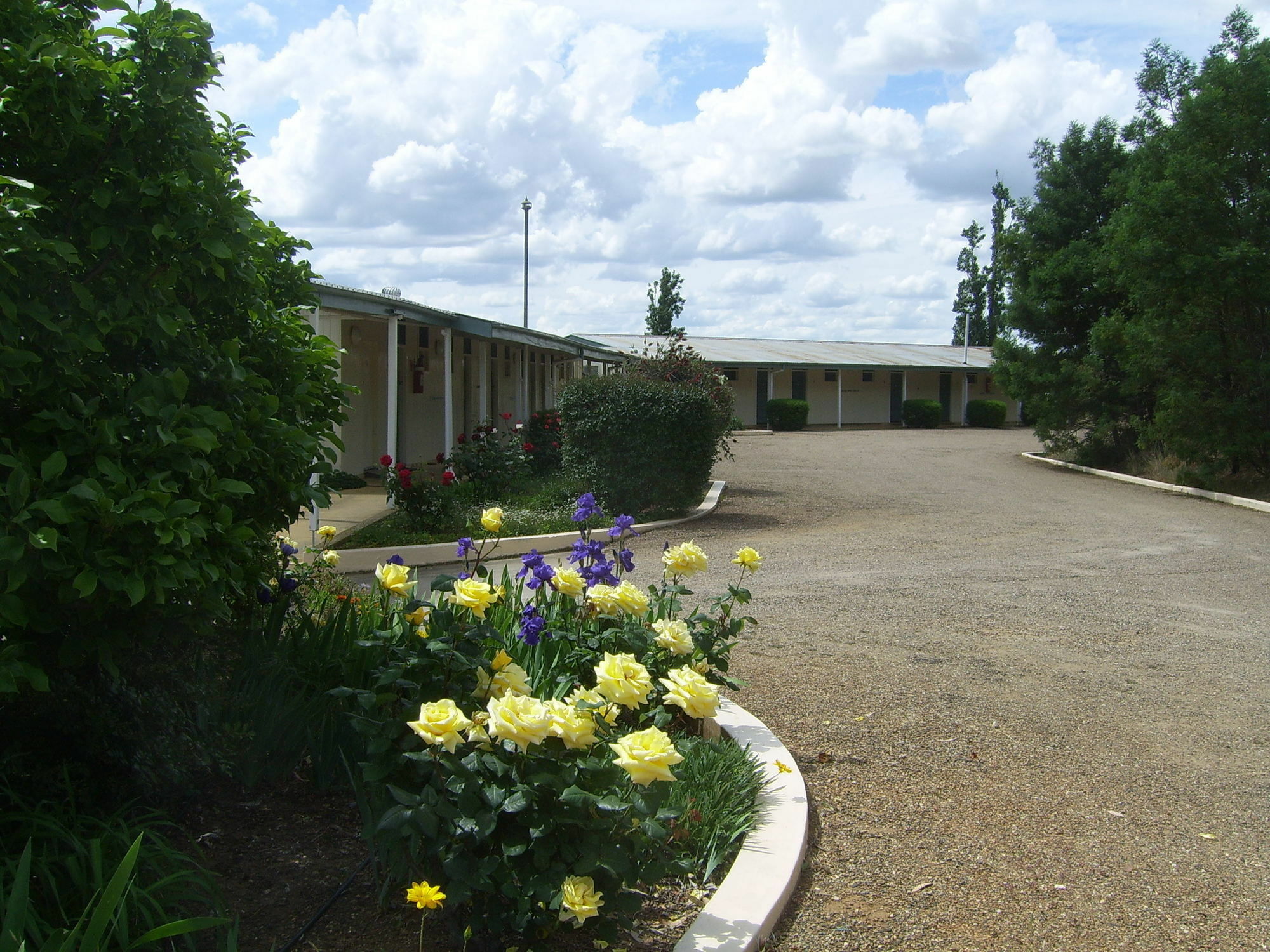 Garden Motor Inn Gundagai Zewnętrze zdjęcie
